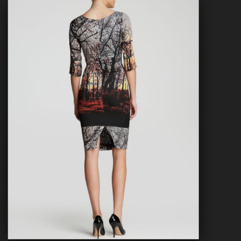 Tracy Reese Winter Landscape Dress Silk 3/4 Slv - Picture 3 of 5
